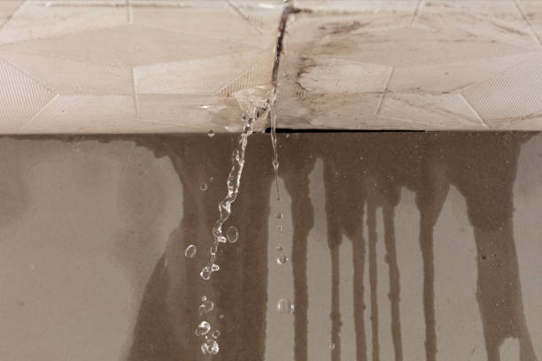 Professional Water Damage Repair technician working in Lenhartsville, PA